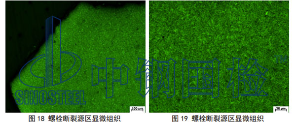 金相檢驗(yàn)結(jié)果